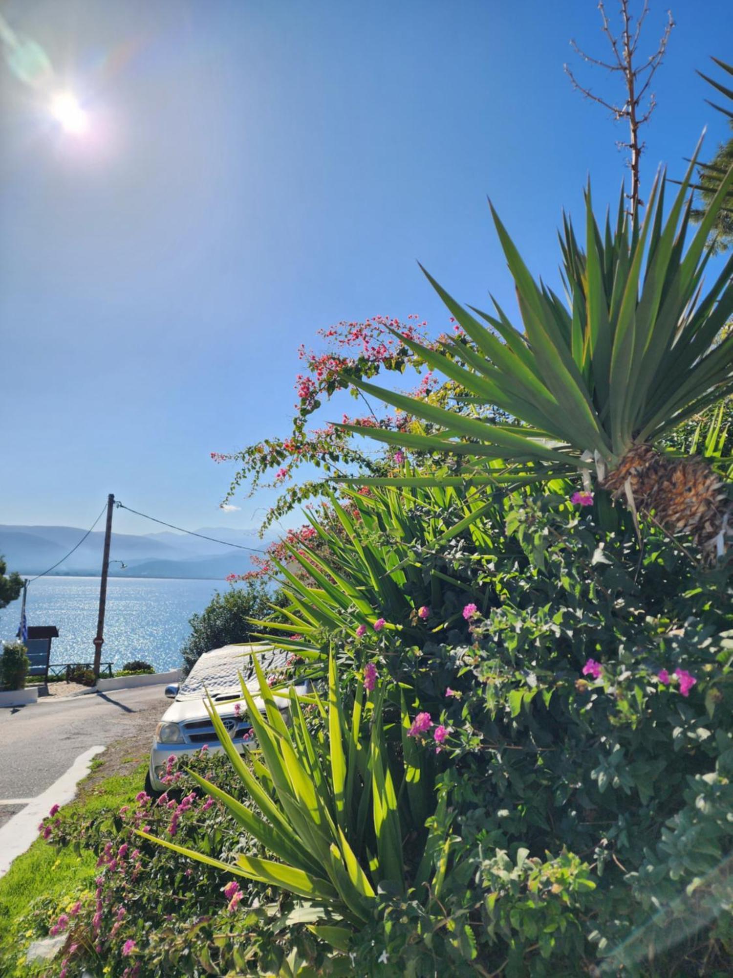 85 Sqm Apartments New Panorama Electric Car Φωρτησησ Station Parálion Ástros Dış mekan fotoğraf
